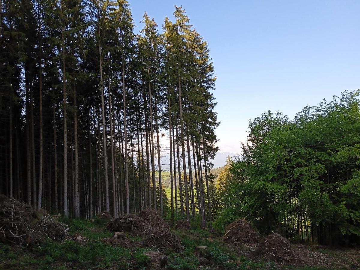 Liptovska Mara Holiday home